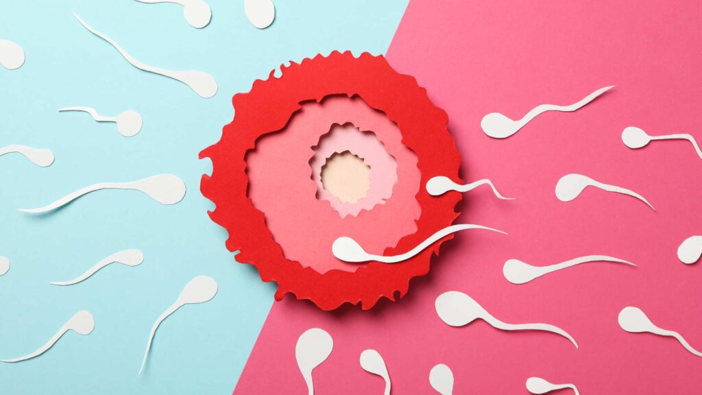Male Infertility Test