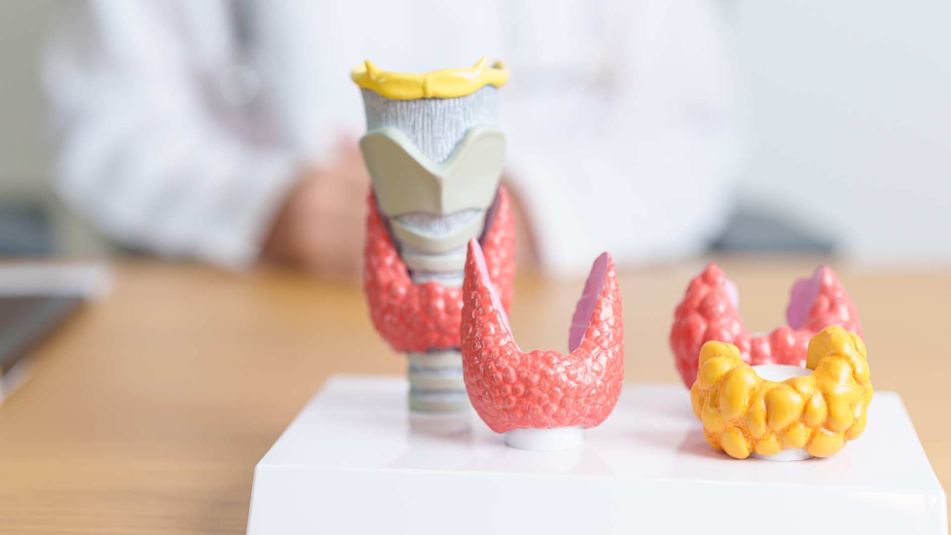 How much thyroid should be in men?